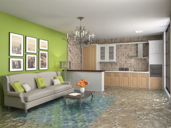 Cost of Wet Carpet Drying in Sacramento