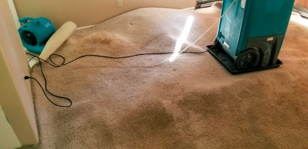 Cost of Flood Damage Cleanup in Sacramento