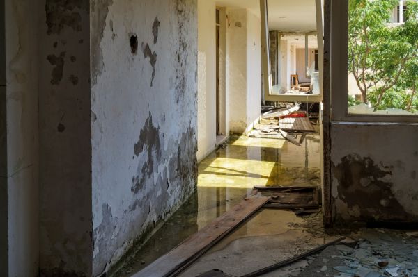 Cost of Water Removal Service in Sacramento